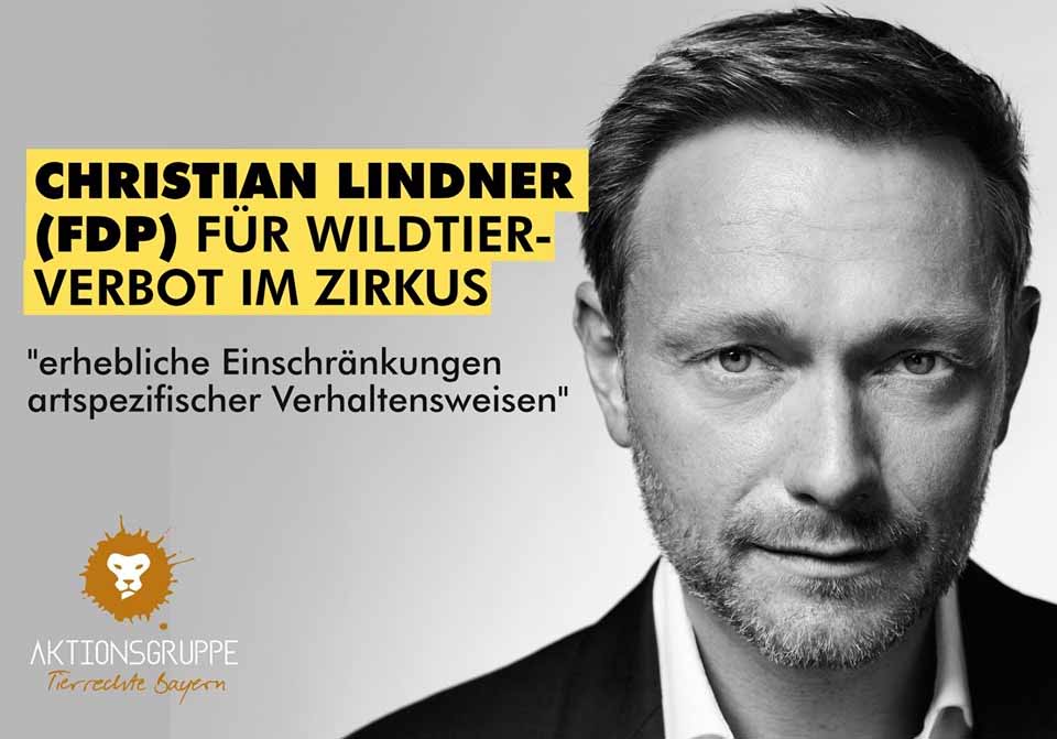 Simon Fischer und seine Stümperhaftigkeit 1 11092019 fdp
