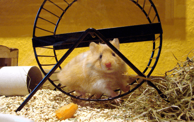 Foto: Th. Reinhardt / pixelio.de