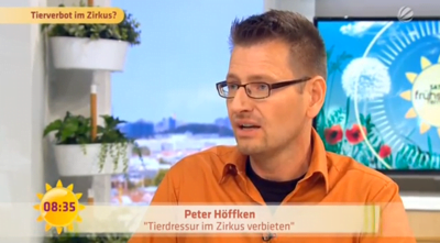 Screenshot Aufzeichnung Sat.1 Frühstücksfernsehen Peter Höffken / https://www.sat1.de/tv/fruehstuecksfernsehen/video/talk-tierverbot-im-zirkus-clip