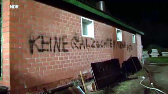 Screenshot Video NDR - https://www.ndr.de/nachrichten/niedersachsen/lueneburg_heide_unterelbe/100-Schweine-verbrannt-Wer-steckt-dahinter,stallbrand156.html