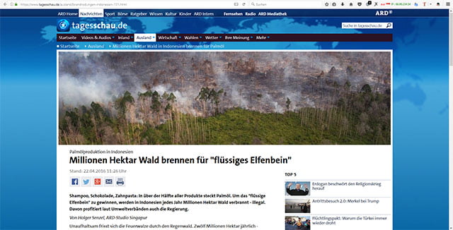 Screenshot ARD Beitrag zum Thema Palmöl Abzurufen unter https://www.tagesschau.de/ausland/brandrodungen-indonesien-101.html