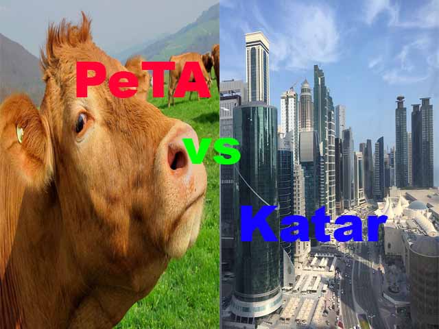 PeTA vs. Katar