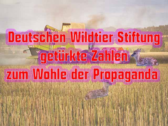 Deutschen Wildtier Stiftung getürkte Zahlen zum Wohle der Propaganda 
