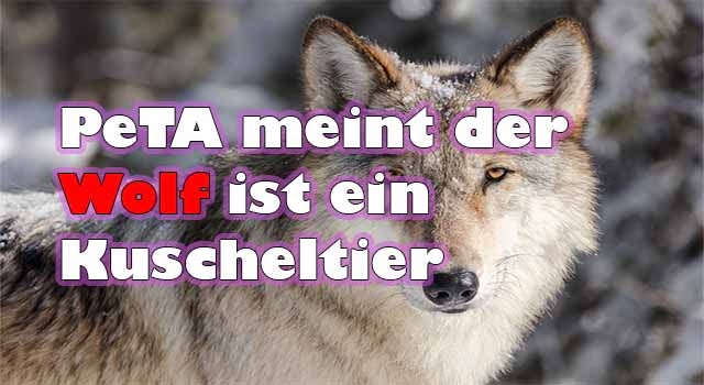 PeTA Märchenstunde: Die Geschichte vom lieben Wolf