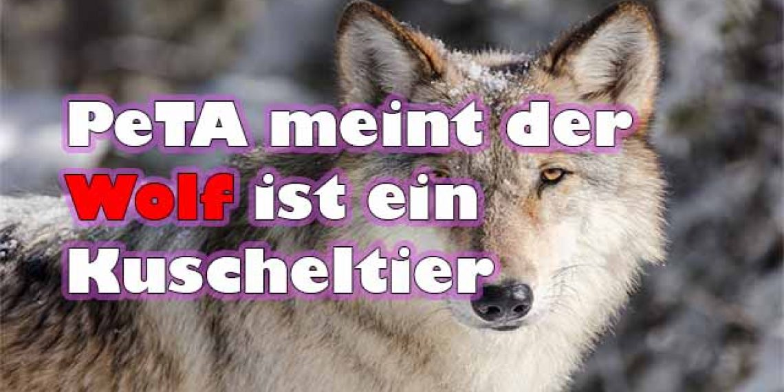 PeTA Märchenstunde Die Geschichte vom lieben Wolf GERATI Gegen