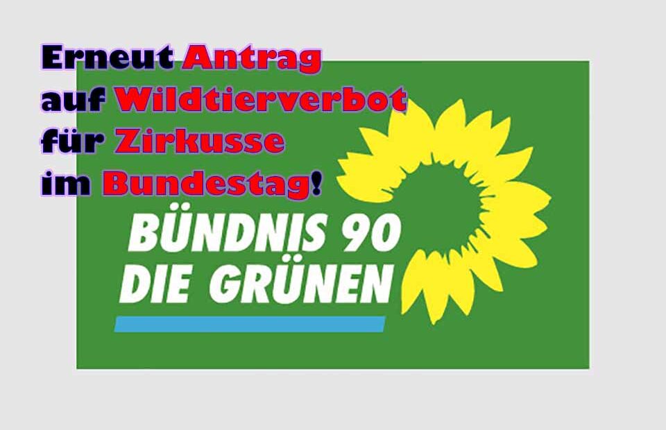 Bündnis 90 / Die Grünen stellen erneut Antrag auf Wildtierverbot für Zirkusse im Bundestag