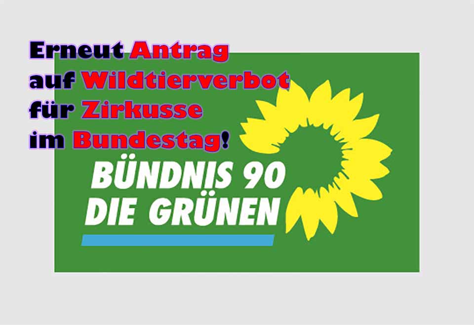 Bündnis 90 / Die Grünen stellen erneut Antrag auf Wildtierverbot für Zirkusse im Bundestag