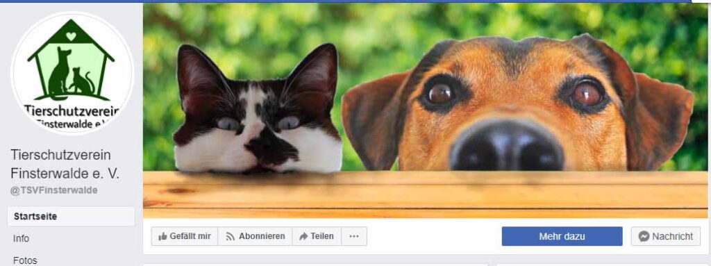 Finsterwalder Tierschutzverein droht mit Rechtsanwalt / Screenshot Facebook