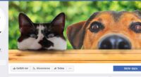 Finsterwalder Tierschutzverein droht mit Rechtsanwalt / Screenshot Facebook