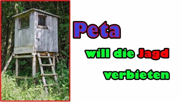 Peta fordert sofortiges Verbot der Jagd
