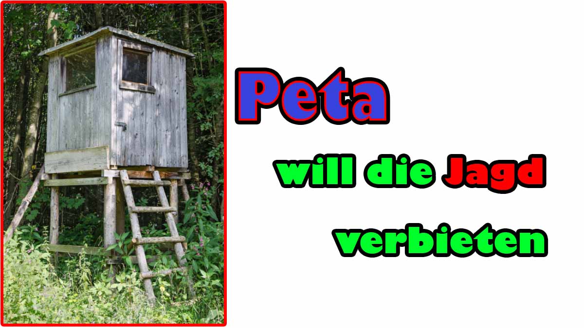 Peta fordert sofortiges Verbot der Jagd