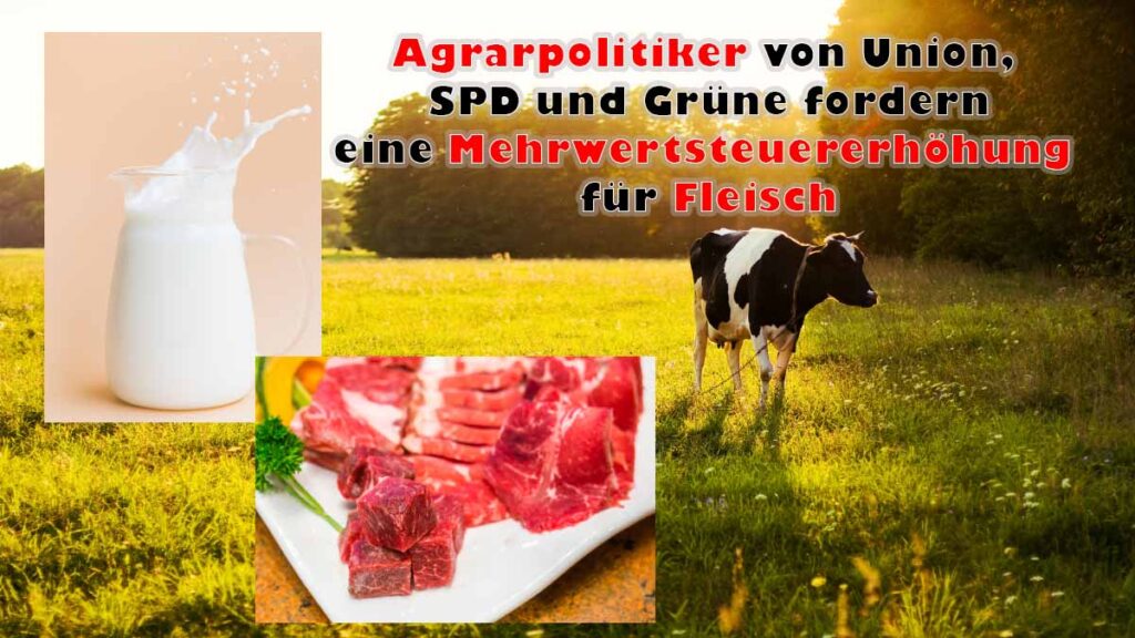 Agrarpolitiker von Union, SPD und Grüne fordern eine Mehrwertsteuererhöhung für Fleisch