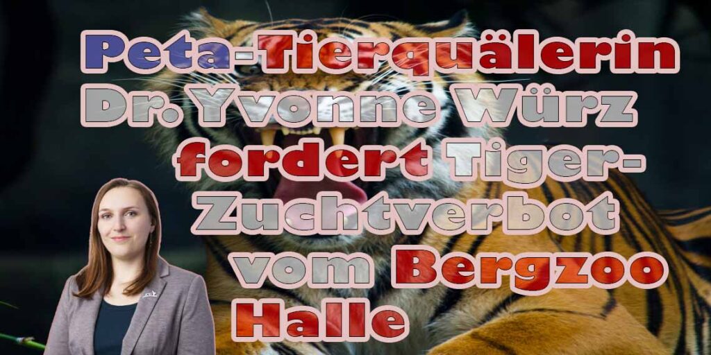 Peta-Tierquälerin Dr. Yvonne Würz fordert Tiger-Zuchtverbot vom Bergzoo Halle