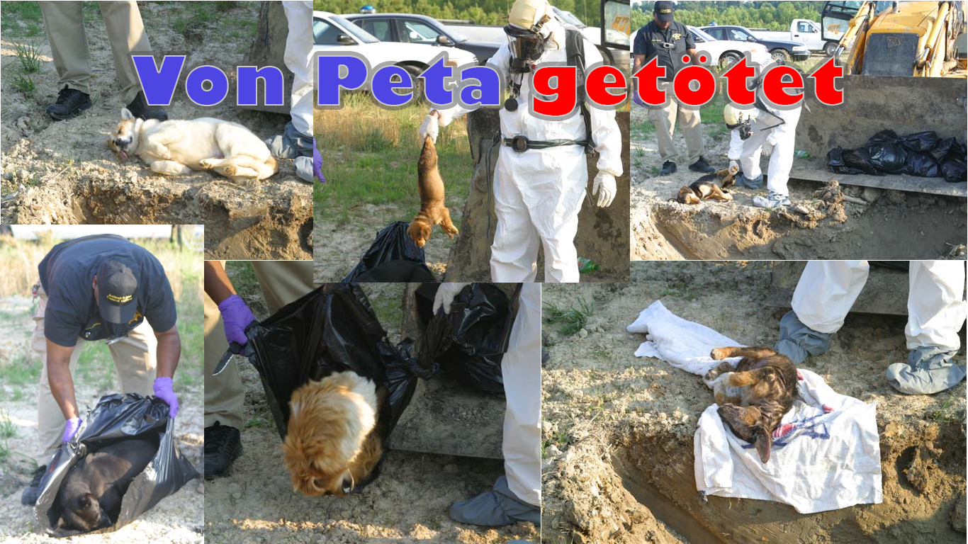 Von Peta getötete Tiere - Fotos mit freundlicher Unterstützung der Center of Consumer Freedom (CCF)