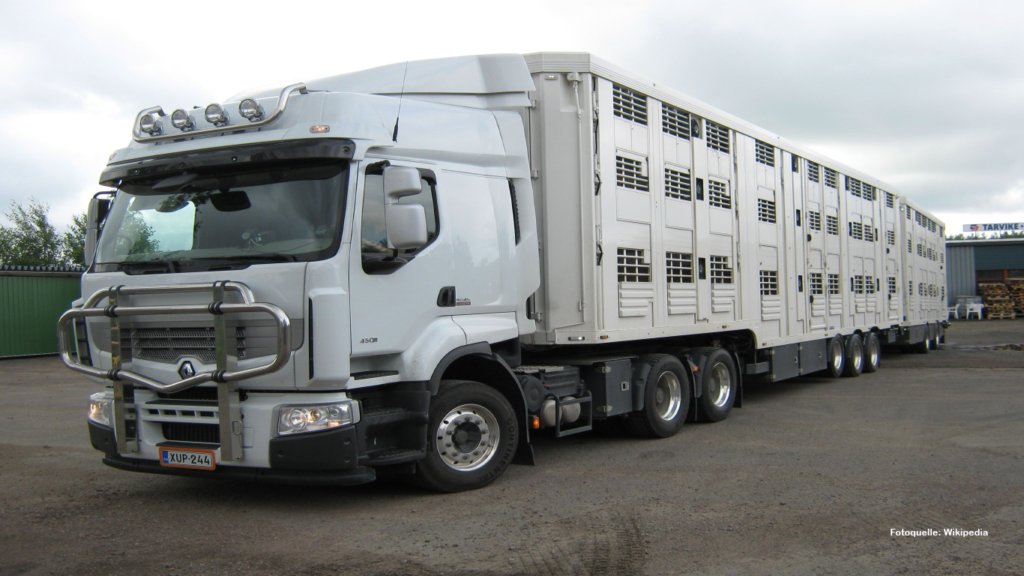 Tiertransporte außerhalb der EU
