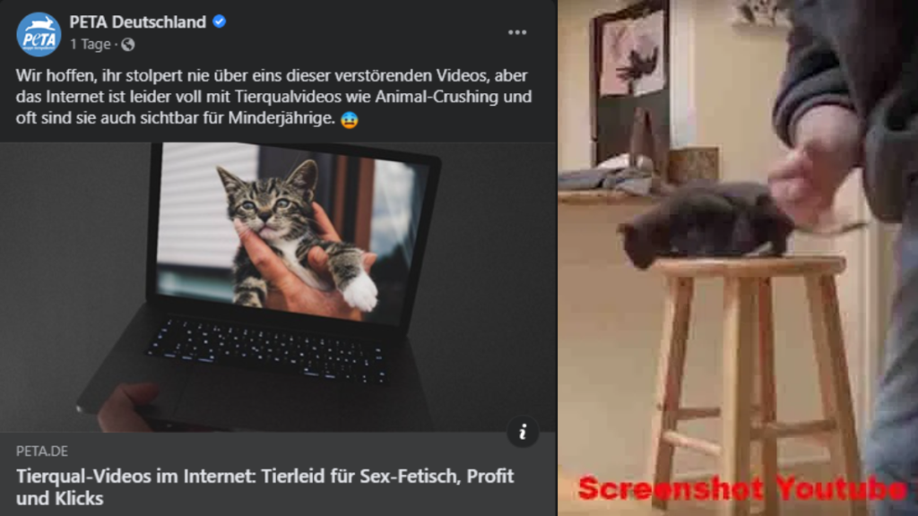 Peta scheint wieder gefaktes Tierqualvideo verbreitet zu haben!