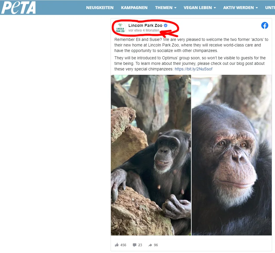 Screenshot peta.de