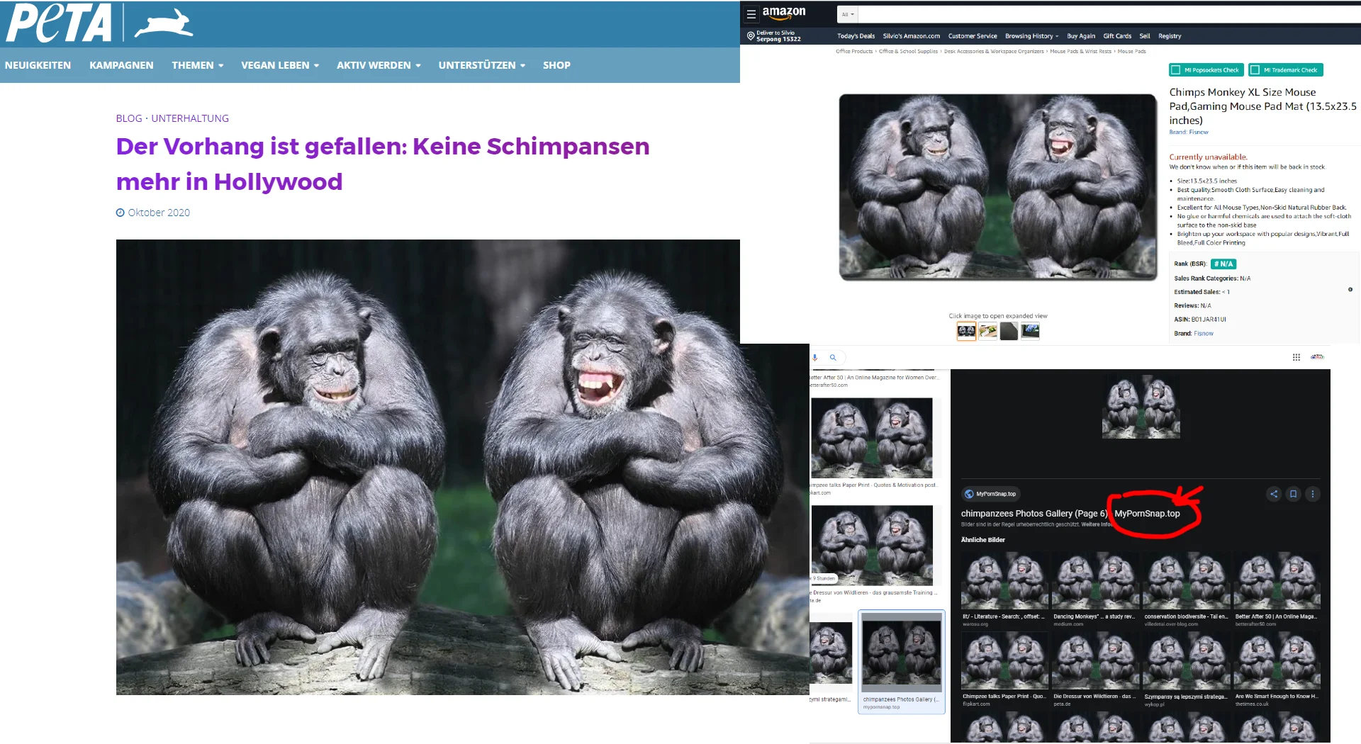 Peta klaut Foto – was nicht mit dem Thema zu tun hat!