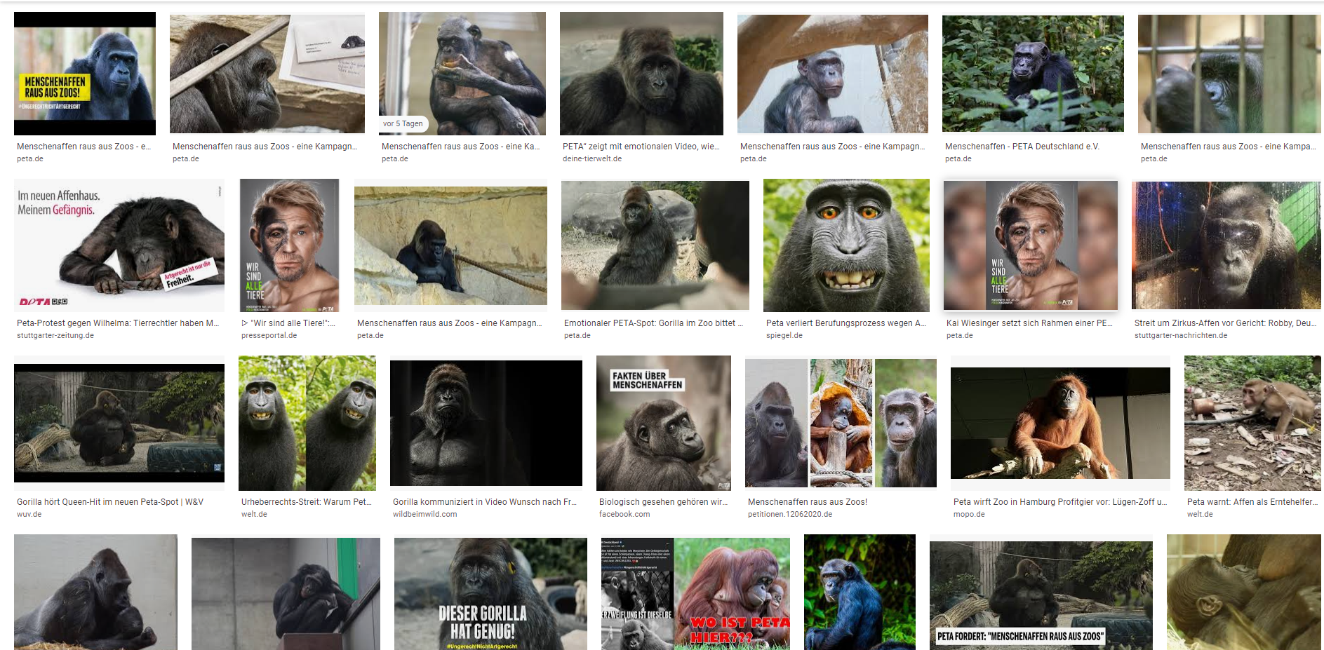 Peta Kampagne gegen Affenhaltung in Zoos