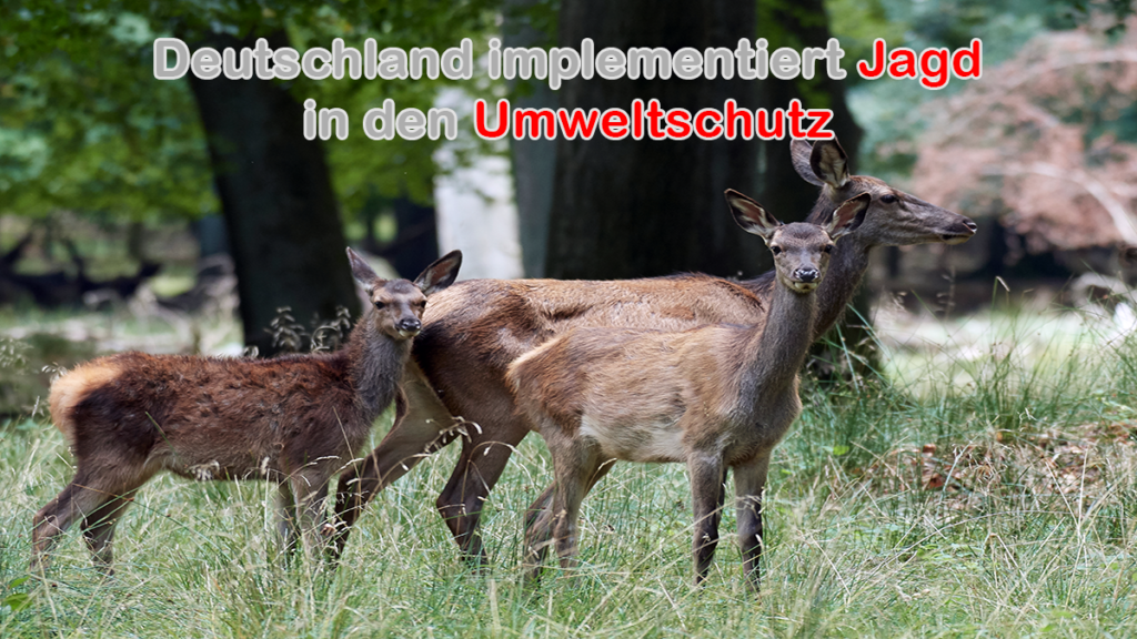 Deutschland implementiert Jagd in den Umweltschutz