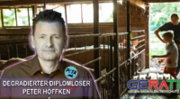 PETA fordert Enteignung deutscher Landwirte wegen Schweinepest
