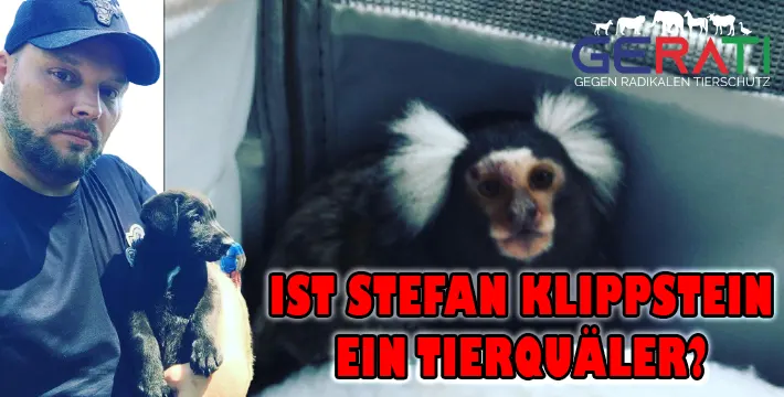 Stefan Klippstein kauft Affen und macht sich dabei strafbar