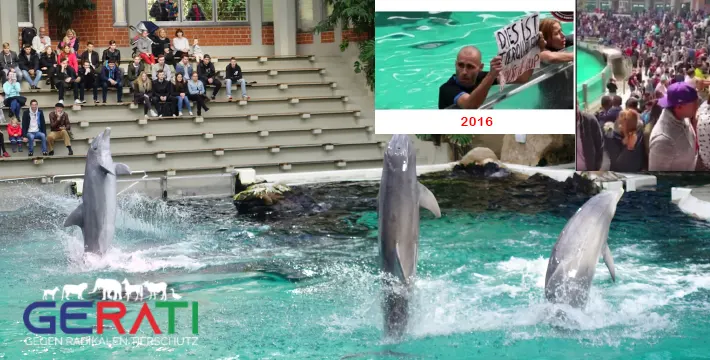 Tierrechts-Idioten springen im Duisburger Zoo ins Delfinarium