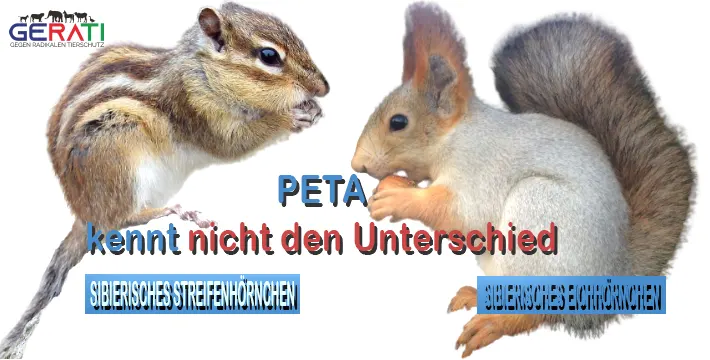 Polizei ermittelt gegen PETA wegen Verstoßes des Tierschutzgesetzes und versuchten Betruges in Hamm – Whistleblower informiert GERATI
