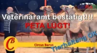 PETA verbreitet Lügen über Zirkusse