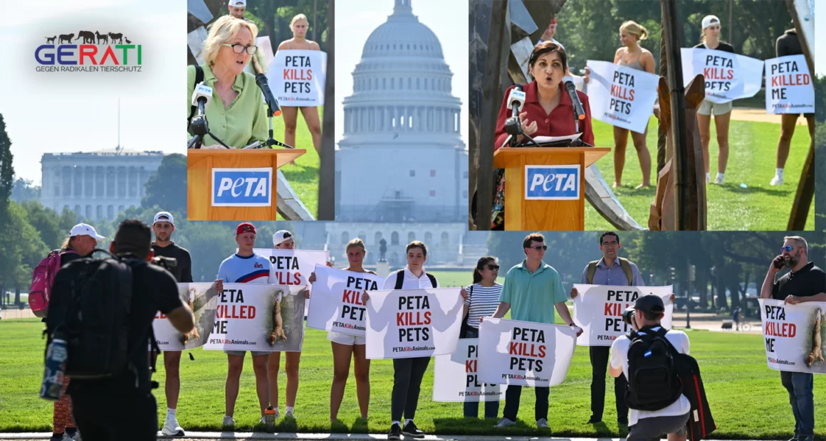 Enthüllung der schockierenden Wahrheit über PETA Tierpolitik: Verlassene und euthanasierte Tiere im Kontrast zu PETA's Partydekoration und Masken.