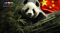 Ein Bild zeigt einen friedlichen Panda, der friedlich Bambussprossen in einem üppigen Bambuswald isst. Im Hintergrund weht die chinesische Flagge, was darauf hinweist, dass China versucht, die Panda-Politik zu nutzen, um politische und wirtschaftliche Entscheidungen zu beeinflussen.