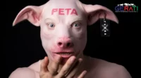 Ein Mann aus Terra X macht eine peinliche Fehler, indem er PETA als Quelle angibt.