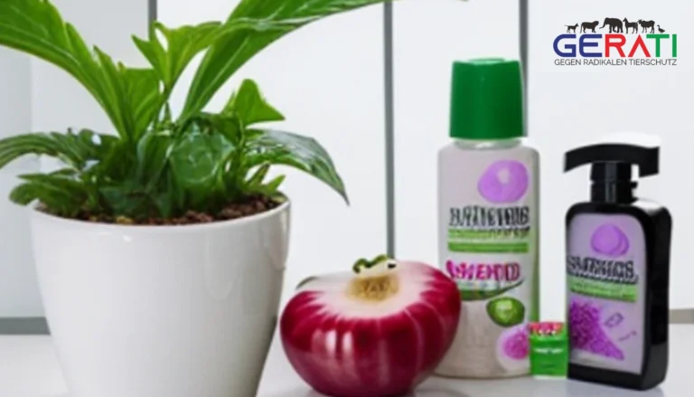 Ein Teller mit verschiedenen veganen Speisen, symbolisch für die Herausforderungen und Kompromisse eines veganen Lebensstils.