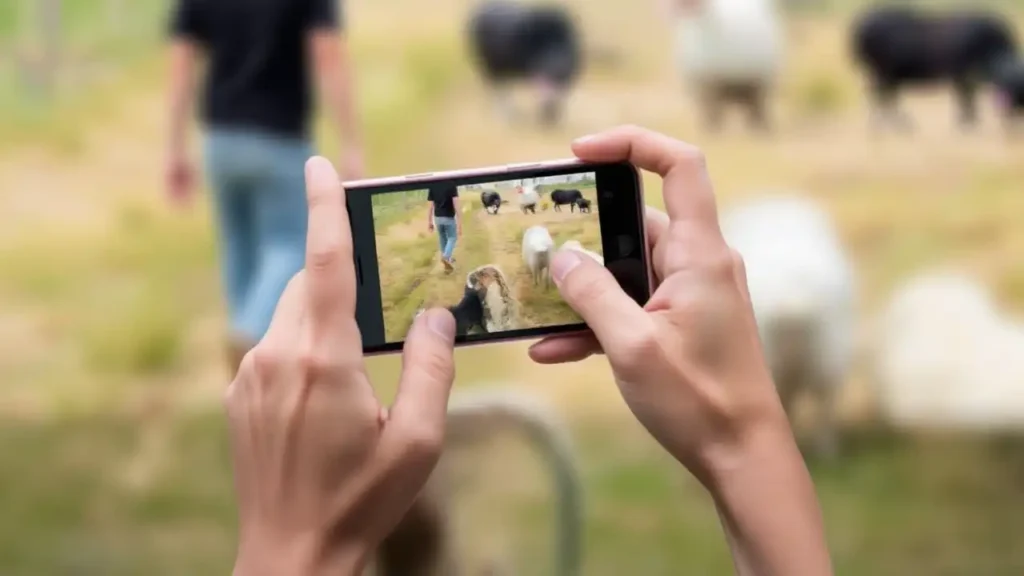 Eine Hand hält ein Smartphone, das eine Videoaufnahme einer unklaren Szene zeigt.