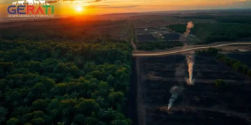 Zerstörung des Amazonas durch Abholzung und Viehzucht – kontrastreiches Luftbild zwischen Regenwald und Rodung