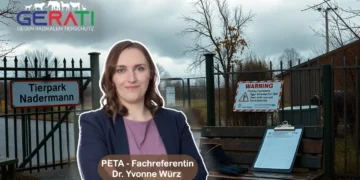 Eingang des Tierparks Nadermann mit Tigergehege im Hintergrund an einem wolkenverhangenen Tag mit Dr. Yvonne Würz
