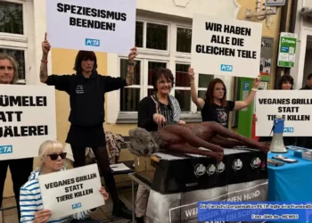 Sechs PETA-Aktivisten stehen mit traurigen Gesichtern an einem trostlosen Infostand beim PETA Schweinefest in Viechtach, während im Hintergrund fröhlich gegrillt wird.