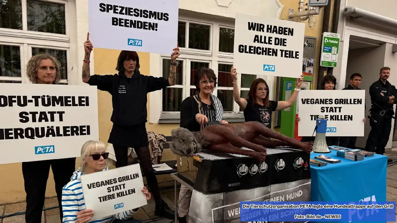 Sechs PETA-Aktivisten stehen mit traurigen Gesichtern an einem trostlosen Infostand beim PETA Schweinefest in Viechtach, während im Hintergrund fröhlich gegrillt wird.