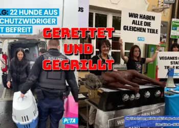PETA-Aktivisten retten verwahrloste Hunde – gleichzeitig wird symbolisch ein Hund auf einem Grill präsentiert.