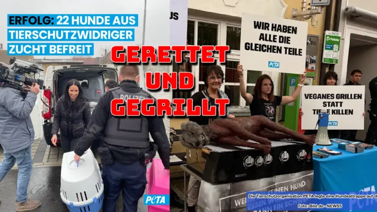 PETA-Aktivisten retten verwahrloste Hunde – gleichzeitig wird symbolisch ein Hund auf einem Grill präsentiert.