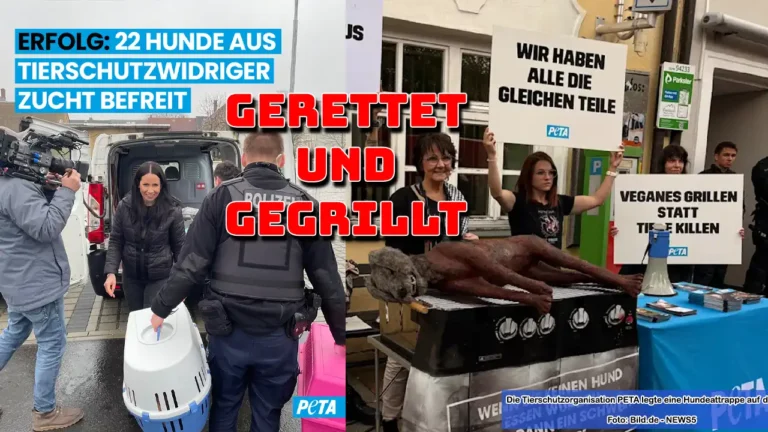 PETA-Aktivisten retten verwahrloste Hunde – gleichzeitig wird symbolisch ein Hund auf einem Grill präsentiert.