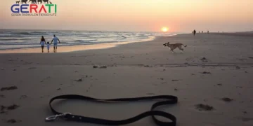 Tragischer Vorfall auf Sylt: Polizei muss aggressiven Hund erschießen 22 Ein ruhiger Abend am Strand von Sylt: Sanfte Wellen treffen auf das Ufer. Im Vordergrund liegt eine einsame, leere Hundeleine im Sand, die Abwesenheit eines Hundes andeutend. Im Hintergrund taucht der Sonnenuntergang die Szene in ein warmes, goldenes Licht. Einige verstreute Strandbesucher zeigen besorgte oder nachdenkliche Gesichter, was die Mischung aus Schock und Traurigkeit widerspiegelt. Der Himmel ist in Orange und Violett getaucht und verstärkt die Stimmung eines unerwartet tragischen Tagesendes. Die Atmosphäre verbindet natürliche Schönheit mit unterschwelliger Unruhe und lädt zur Reflexion über Verantwortung und Sicherheit ein.