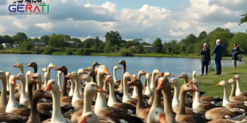 Das Titelbild zeigt eine fotorealistische Szene an einem ruhigen See in Nordrhein-Westfalen. Im Vordergrund befindet sich eine große Schar Gänse am Ufer, die friedlich in ihrer natürlichen Umgebung agieren. Im Hintergrund gibt es eine kleine, friedliche Demonstration von Tierschutzaktivisten, die besorgt wirken und Schilder sowie Banner ohne sichtbaren Text in den Händen halten. Auf der gegenüberliegenden Seite stehen einige Stadtbeamte, die in eine nachdenkliche Diskussion vertieft sind und entschlossen wirken. Die Atmosphäre ist ruhig, trägt jedoch eine unterschwellige Spannung und Dringlichkeit in sich, die auf den Gänseabschuss als zentrales Konfliktthema hinweist. Die natürliche Schönheit des Sees und der umgebenden grünen Landschaft wird hervorgehoben, während der teils bewölkte Himmel die Komplexität und Unsicherheit der Situation widerspiegelt.