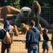 Aktivisten beim Pavian-Protest Nürnberg, angekettet vor dem Primatengehege des Zoos, im Hintergrund Guinea-Paviane in ihrer Anlage.