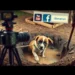 Ein Hund sitzt verängstigt in einem schlammigen Erdloch, während eine Kamera auf einem Stativ auf ihn gerichtet ist – eine Szene inszenierter Fake-Tierrettung.
