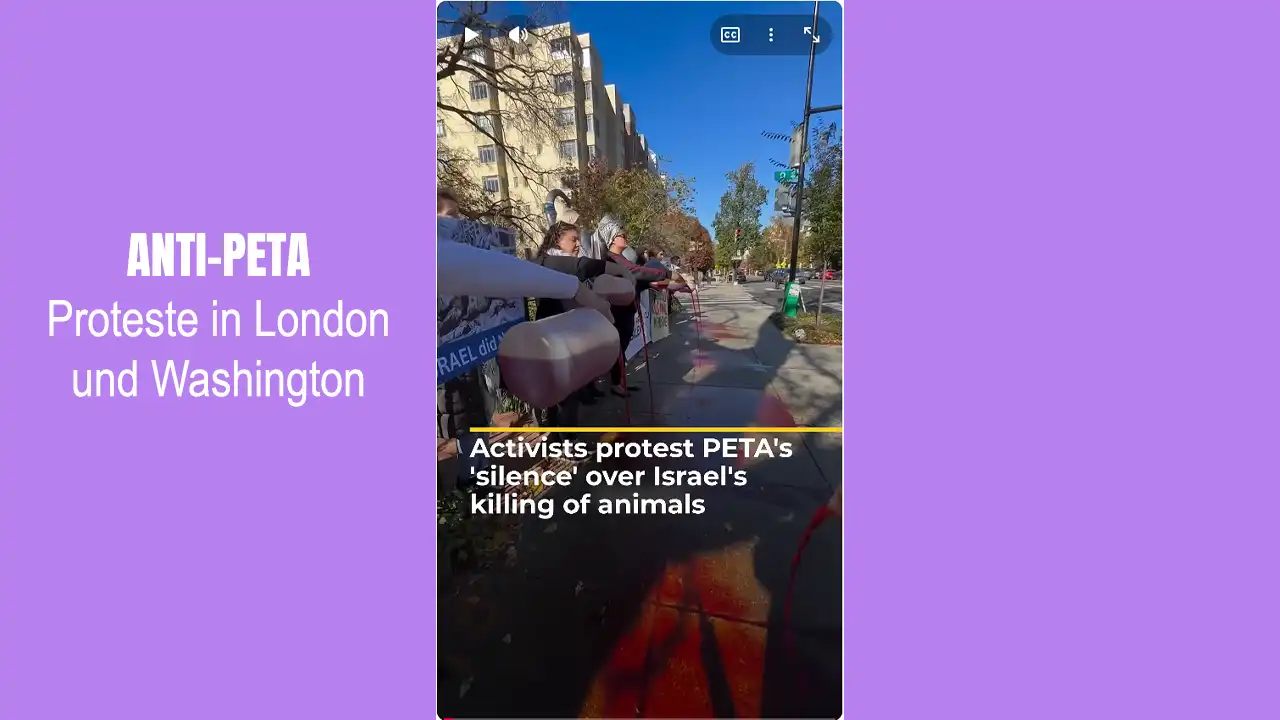 PETA im Kreuzfeuer: Wenn Heuchelei laut wird – Aktivisten stürmen PETA-Büros in London und Washington 1 Aktivisten protestieren vor PETA-Büros in London gegen das Schweigen der Organisation – ein Symbol für die Heuchelei im Tierschutz.