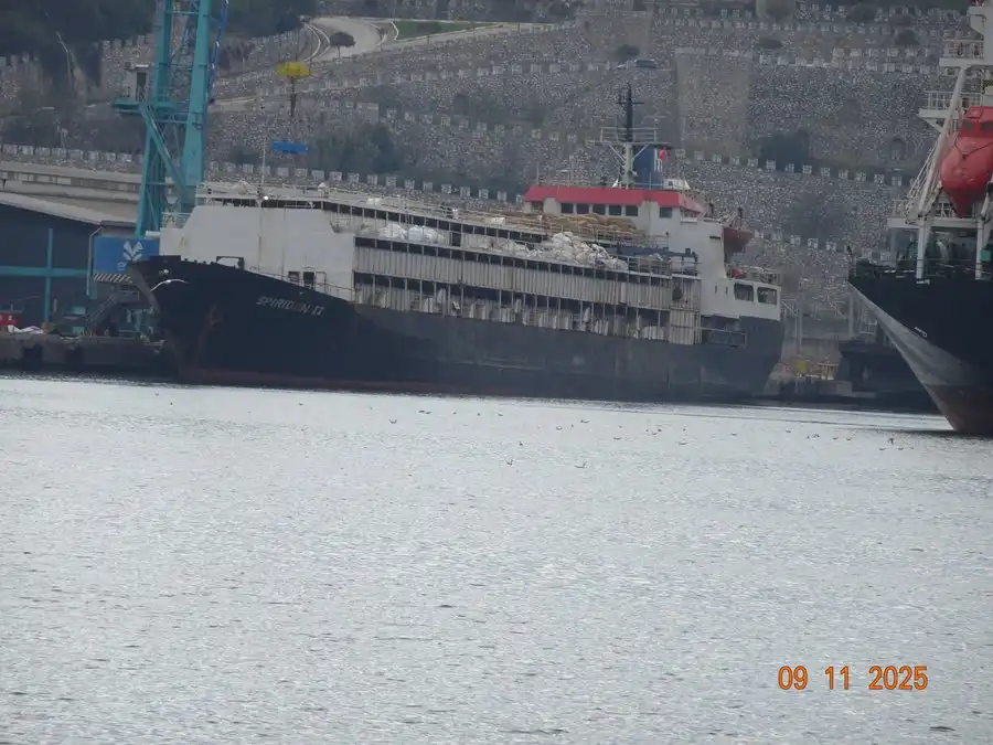 18 11 2025 recherche bild1