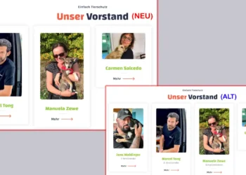Screenshot-Vergleich der Vorstandseite von Einfach Tierschutz e. V.: Früher mit Jens Waldinger gelistet, aktuell ohne ihn – zeigt sein stilles Entfernen aus dem Vorstand.