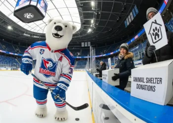 Ein Eisbär in Eishockey-Ausrüstung der Berliner Eisbären steht in einem Stadion neben Fans, die Spenden für das Tierheim sammeln – Darstellung der Partnerschaft Eisbären Berlin Tierheim.