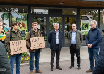 Fotorealistische Szene vor einem deutschen Zooeingang, in der Anti-Zoo-Aktivisten auf sachlich argumentierende Zoo-Experten treffen und sichtbar in Erklärungsnot geraten.